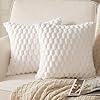 MANDIOO Pack of 2 Cream White Super Soft Plush Fluffy Decorative Throw Pillow Covers 18x18 inch Faux Fur Wool Velvet Cushion Covers Pillow Cases Couch Sofa Bed Living Room