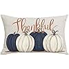 WENIANRU Ink Painting Blue Pumpkins Thankful Fall Y'all Thanksgiving Day Home Sofa Chair Bed Decoration Lumbar Pillowcase Cotton Linen Decorative Throw Pillow Cover Case Rectangular 12 x 20 Inches