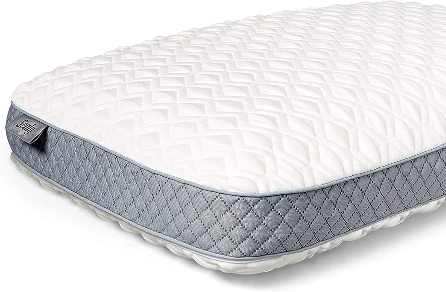 Sealy Molded Bed Pillow for Pressure Relief, Adaptive Memory Foam with Washable Knit Cover, Standard, 16x24x5.75 Inches, White, Grey